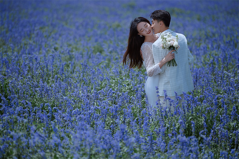 爱丽丝花海