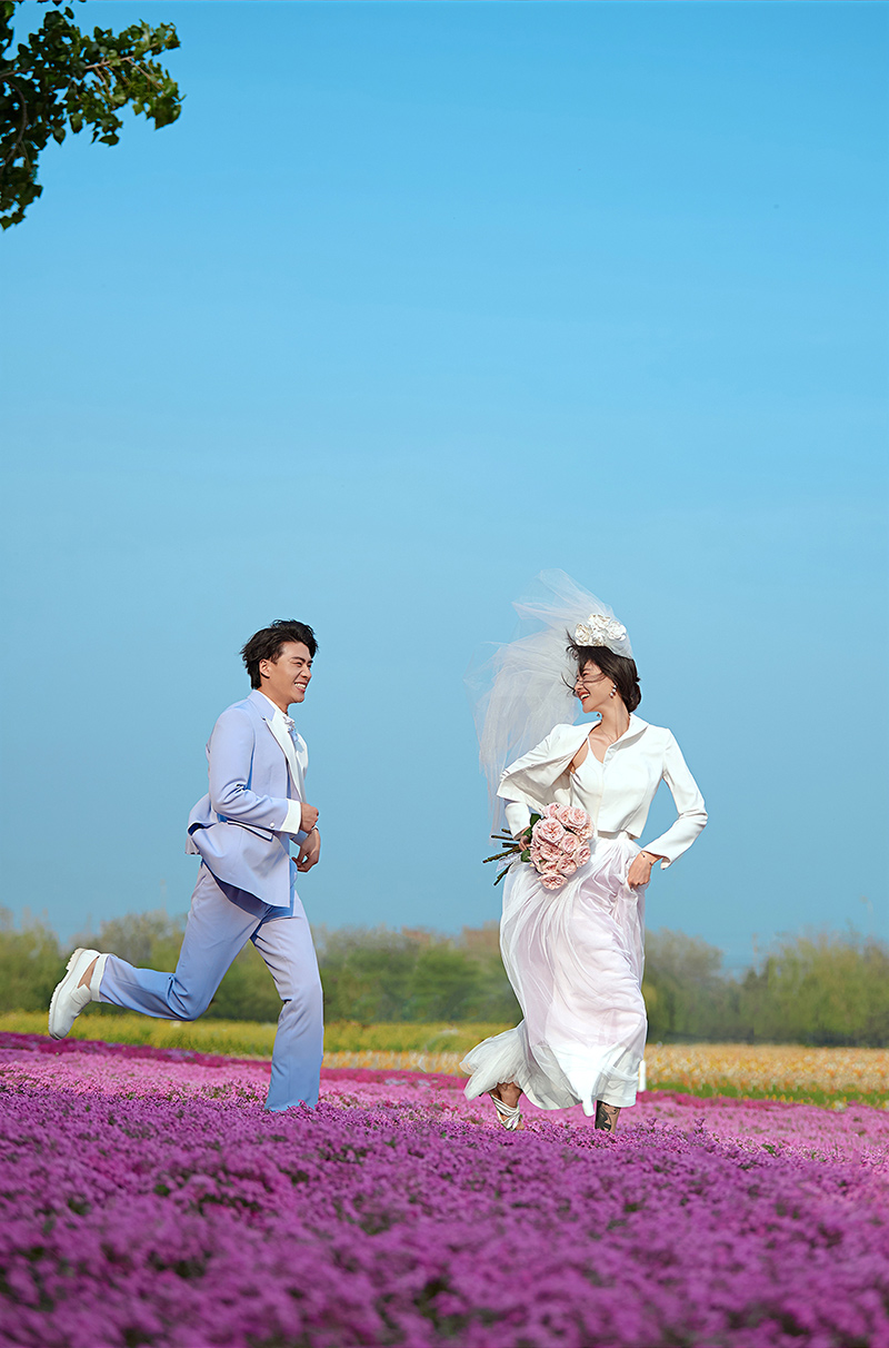 爱丽丝花园